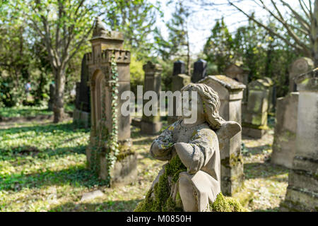 Abbandonato il cimitero Ebreo vicino Floersheim-Dalsheim Rhine-Hesse Germania Foto Stock