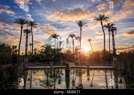 Palme al tramonto nel Parco Maria Luisa a Siviglia, in Andalusia, Spagna Foto Stock