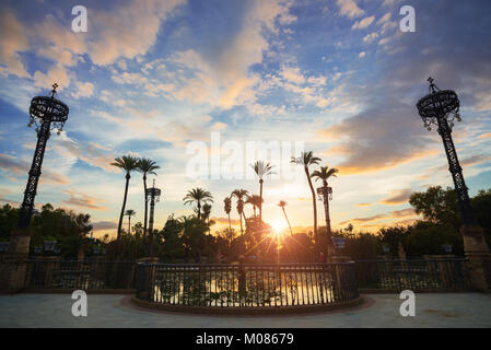 Palme al tramonto nel Parco Maria Luisa a Siviglia, in Andalusia, Spagna Foto Stock