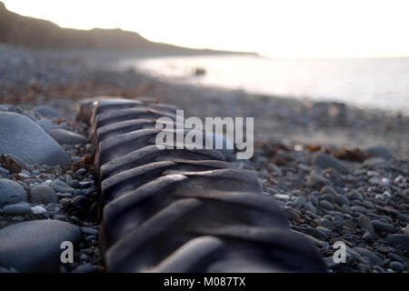 Il pneumatico del trattore abbandonato al mare si siede sulla spiaggia in attesa della prossima alta titde Foto Stock
