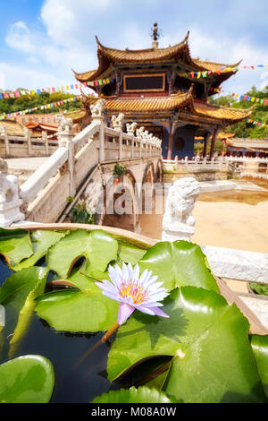 Fiore di loto nel Tempio di Yuantong in Kunming, il fuoco selettivo in Cina. Foto Stock