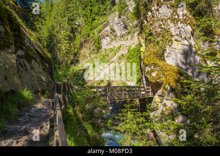 Cascate Stanghe (Gilfenklamm) localed vicino a Racines, Bolzano in Alto Adige, Italia. I ponti in legno e piste portano attraverso il canyon e dare un sp Foto Stock