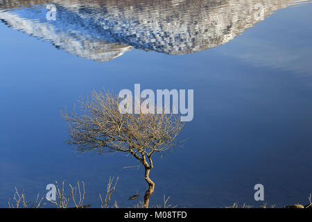 Coperta di neve hillside riflessa nelle calme acque del lago, capovolto, nella contea di Kerry, Irlanda Foto Stock