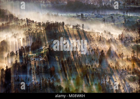 Misty fluente attraverso il villaggio di mattina presto come il sorgere del sole, bromo, Indonesia Foto Stock