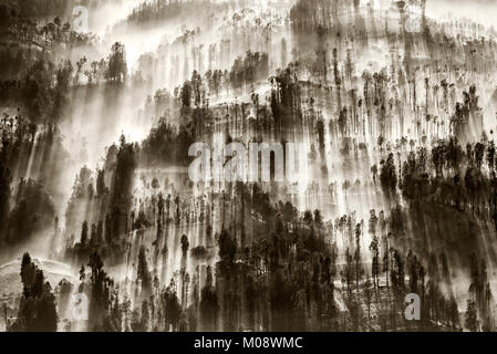 Misty fluente attraverso il villaggio di mattina presto come il sorgere del sole, bromo, Indonesia Foto Stock