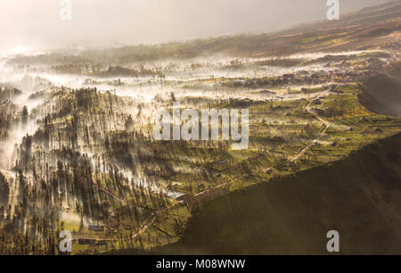 Misty fluente attraverso il villaggio di mattina presto come il sorgere del sole, bromo, Indonesia Foto Stock