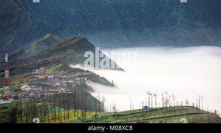 Misty fluente attraverso il villaggio di mattina presto come il sorgere del sole, bromo, Indonesia Foto Stock