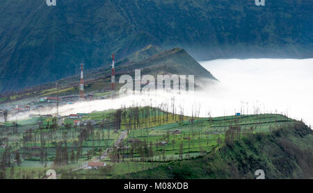 Misty fluente attraverso il villaggio di mattina presto come il sorgere del sole, bromo, Indonesia Foto Stock