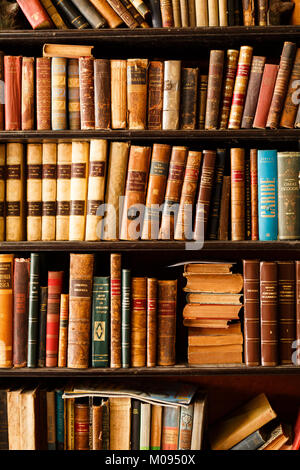 Libro usato Store in Havana Cuba Foto Stock