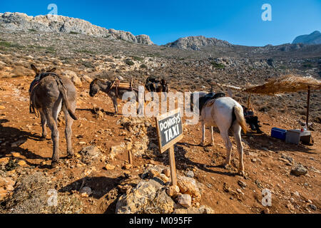 Donkey Taxi, asino taxi nei pressi di Balos Beach, penisola di Gramvoussa, Creta, Grecia, Europa, Chania, Europa, Creta, Grecia, GR, viaggi, turismo, destinatio Foto Stock