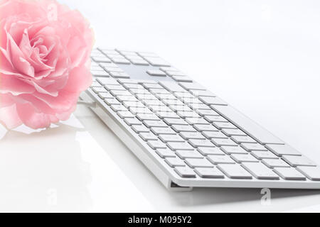 Rosa rosa e Tastiera slim computer contro uno sfondo bianco. Soft focus. La messa a fuoco in midlle della zona di tastiera e rose. Foto Stock