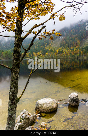 Il …densee lago, lago naturale nel Salzkammergut. vicino Pichl-Kainisch, nel comune di Bad Mitterndorf, Stiria, Austria, in autunno, Foto Stock
