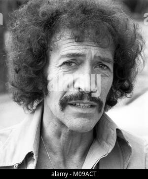 L'attore britannico Peter Wyngarde, noto dalla serie TV 'REPARTO S' e lo spin-off "Jason King', nel luglio 1977 a Vienna, Austria. Wyngarde morì il 15 gennaio 2018 in un ospedale di Londra. | Utilizzo di tutto il mondo Foto Stock