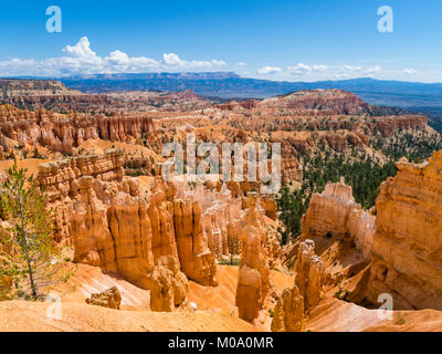 Hoodoo formazioni rocciose a Bryce Canyon National Park nello Utah (USA). Foto Stock