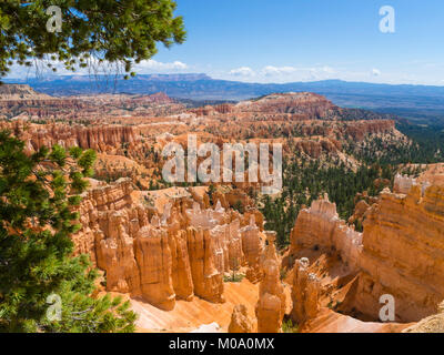 Hoodoo formazioni rocciose a Bryce Canyon National Park nello Utah (USA). Foto Stock