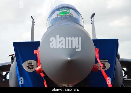McDonnell Douglas F-15E Strike Eagle, 48th FW/492nd FS, USAF Foto Stock