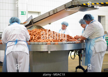 Industria alimentare: i lavoratori nella produzione del testo originale tedesco il bratwurst in una grande macelleria Foto Stock