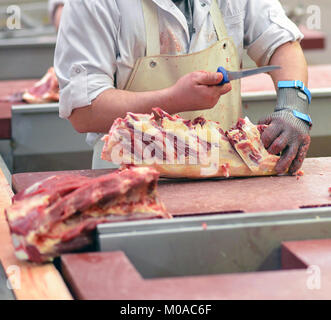 Butcher lavora in un macello e tagli appena abbattuti (carne di manzo e di maiale) per la vendita e l'ulteriore elaborazione di salsiccia Foto Stock