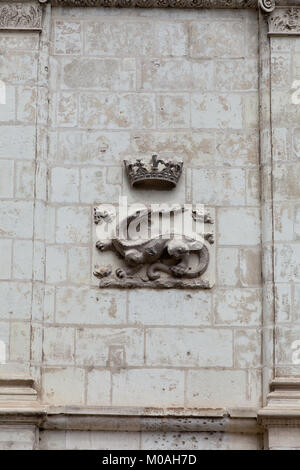 La Salamander, emblema di François I . Castello di Blois. Valle della Loira, Francia Foto Stock
