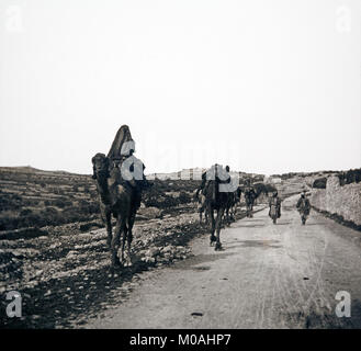Alate xix o agli inizi del XX secolo fotografia in bianco e nero, presa sulla strada di Betlemme, e mostrando alcuni Tribesmen beduini con i loro cammelli. Le donne sono a cavallo di cammelli. Foto Stock