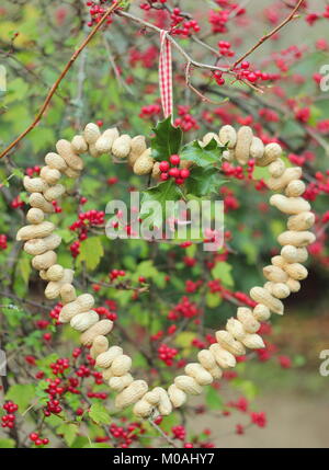 Creazione di una rapida, inverno a forma di cuore bird feeder da dadi di scimmia (sequenziale/guida passo passo). Fase uno: filettatura monkey dadi sul filo di artigianato Foto Stock