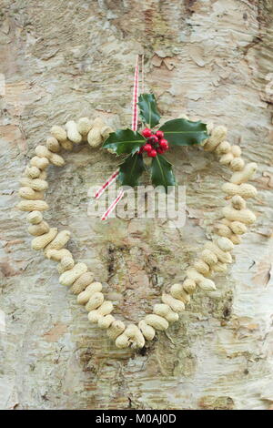 Creazione di una rapida, inverno a forma di cuore bird feeder da scimmia dadi (guida passo passo). Passo 3 di 3: alimentatore posto dove si può godere la visione di uccelli Foto Stock