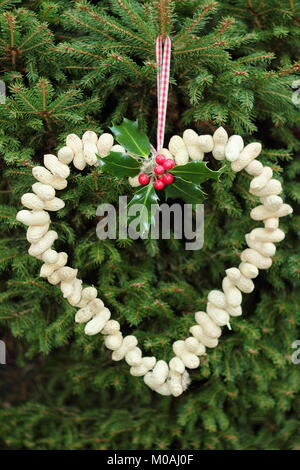 Creazione di una rapida, inverno a forma di cuore bird feeder da scimmia dadi (guida passo passo). Passo 3 di 3: alimentatore posto dove si può godere la visione di uccelli Foto Stock