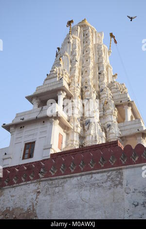 Dettaglio di Bhandasar Jain Temple in Bikaner, Rajasthan - India Foto Stock