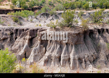 Esempio di grave erosione del suolo in una zona arida del Sud Africa Foto Stock