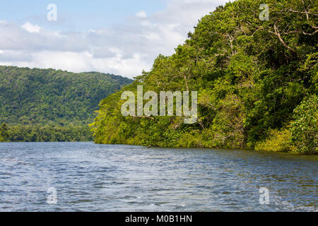 Fiume Daintree e Parco Nazionale Daintree in tropicale Nord Queensland, Australia Foto Stock