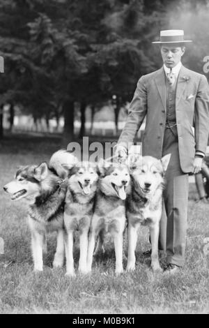 Quattro cani eschimese a Mineola Dog Show Foto Stock