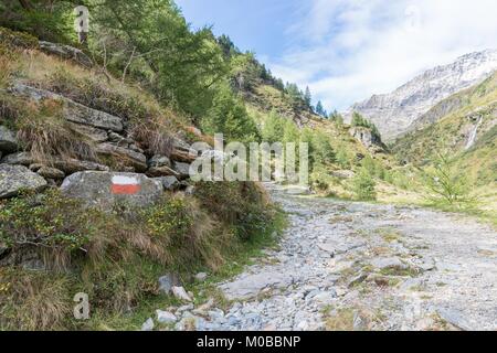 Rosso Bianco rosso sentiero escursionistico marcatura alla Goeriachtal nel Lungau, Austria Foto Stock