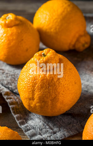 Crudo fresco arance Sumo pronto a mangiare Foto Stock