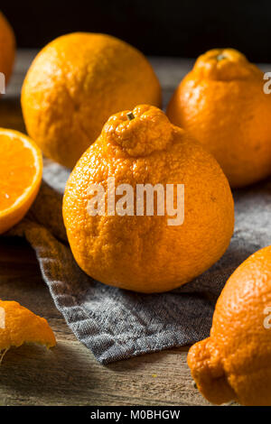 Crudo fresco arance Sumo pronto a mangiare Foto Stock