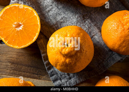 Crudo fresco arance Sumo pronto a mangiare Foto Stock