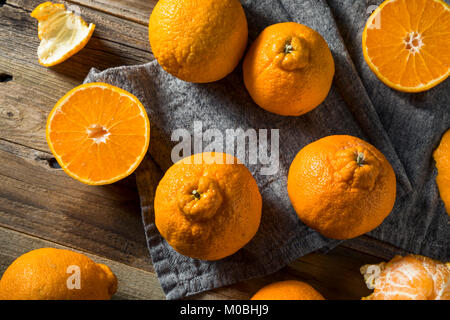 Crudo fresco arance Sumo pronto a mangiare Foto Stock