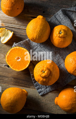 Crudo fresco arance Sumo pronto a mangiare Foto Stock