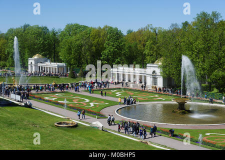 Peterhof, San Pietroburgo, Russia - 4 Giugno 2017: i turisti a piedi intorno alla fontana francese e la grande cascata. La cascata è stata costruita nel 1715-1724 Foto Stock