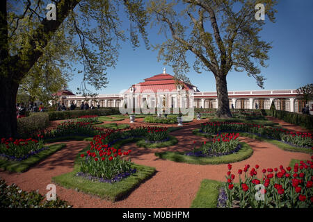 Peterhof, San Pietroburgo, Russia - 4 Giugno 2017: la gente camminare nel Giardino Monplaisir davanti a palazzo Monplaisir. Il palazzo fu costruito nel 1714-1723 Foto Stock