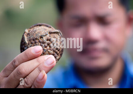 UXO gioco Provincia Secong Laos - blu 26 cluster bomb Foto Stock