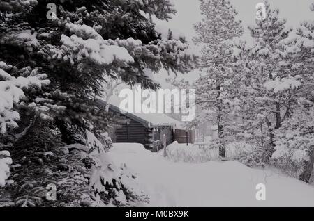 Una baita in montagna in tempo di Natale, dopo un pesante la caduta di neve si è verificato, coprendo con una spessa coltre di neve. Foto Stock