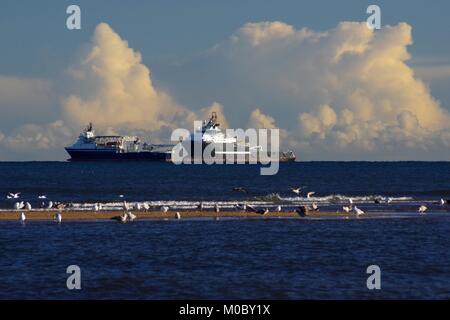 Supporto di olio le navi ormeggiate Offshore. Primo Piano Bar di sabbia e gabbiani, Mare del Nord, Spiaggia di Aberdeen, Scozia, Regno Unito. Foto Stock