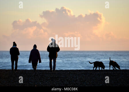 Tre persone camminando due cani sulla spiaggia al tramonto, in autunno o in inverno Foto Stock