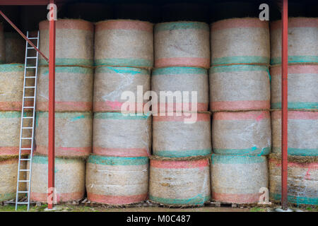Round balle di fieno ordinatamente impilati in un granaio Foto Stock