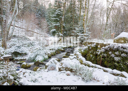 Piccolo ruscello in 'Parc Naturel Regional de Millevaches en Limousin' durante il periodo invernale Foto Stock