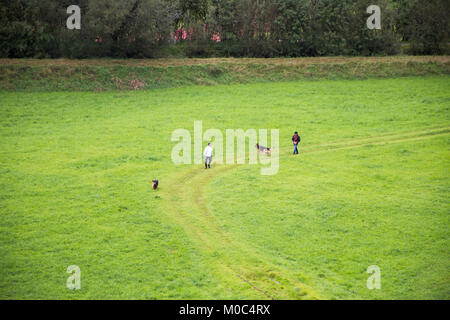 Popolo austriaco utilizzare guinzaglio portare cani a piedi e a giocare sul campo di erba a Reutte città in stato di Tirolo, Austria Foto Stock