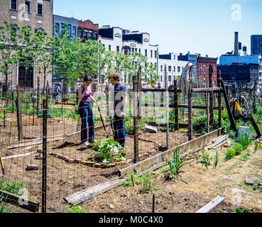 Maggio 1982, New York, persone giardinaggio in comunità giardini, Yorkville, Upper East Side di Manhattan, New York City, NY, NYC, STATI UNITI D'AMERICA, Foto Stock