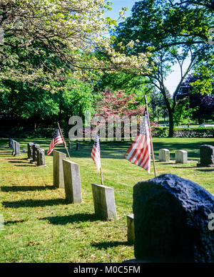 Maggio 1982, cimitero, lapidi, bandierine americane, fioritura sanguinello alberi, primavera, Long Island, New York, NY, STATI UNITI D'AMERICA, Foto Stock