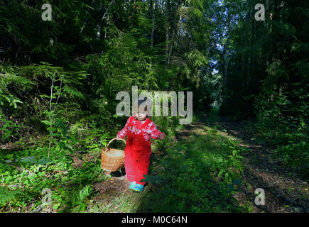 Carino bambina la raccolta di funghi in estate foresta, bambini estate le attività all'aperto Foto Stock