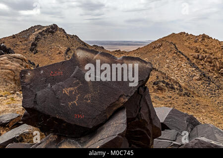 La pittura di roccia, in Yinshan Montagne in Murad medio Banner, Mongolia Interna, Cina. Foto Stock